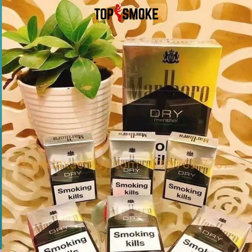 health effects of chewing tobacco Snus: Smokeless Tobacco Facts and Risks