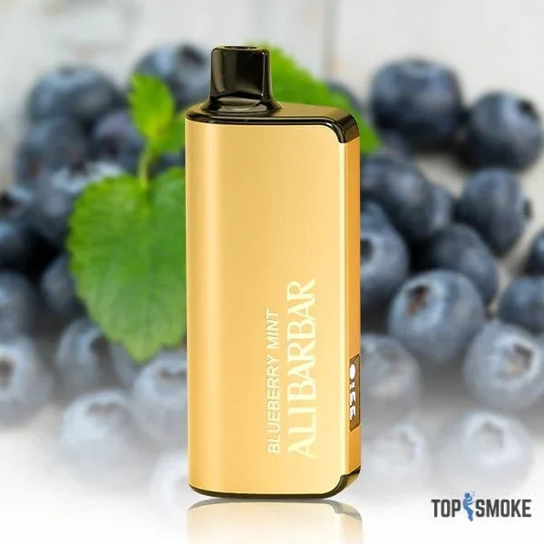 Alibarbar Ingot 9000 Puffs – Blueberry Mint - Top Smoke