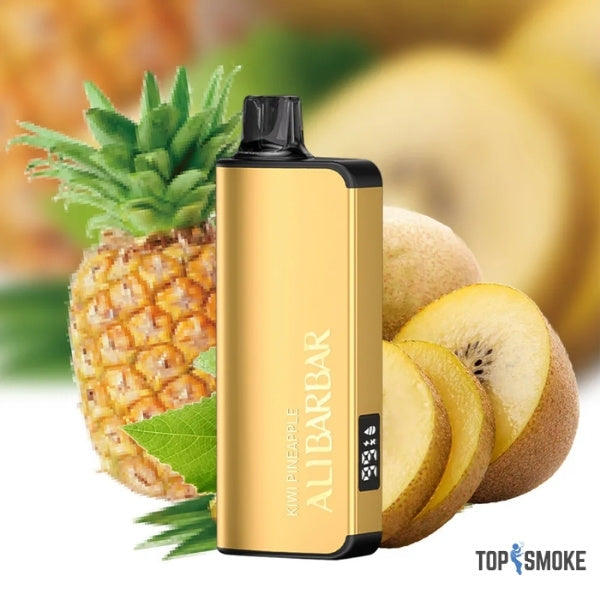 Alibarbar Ingot 9000 Puffs Kiwi Pineapple vape – Shop Top Smoke Australia online