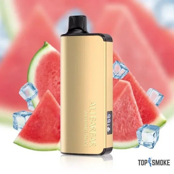 Alibarbar Ingot 9000 Puffs – Watermelon Ice - Top Smoke
